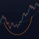 A Wild Ride For the History Books: 2025 Mid-Year Recap