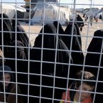 Grandmother tells Trump critics to ‘get off the man’s back’ during White House Black History Month event